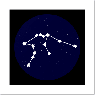 Aquarius Zodiac Constellation Posters and Art